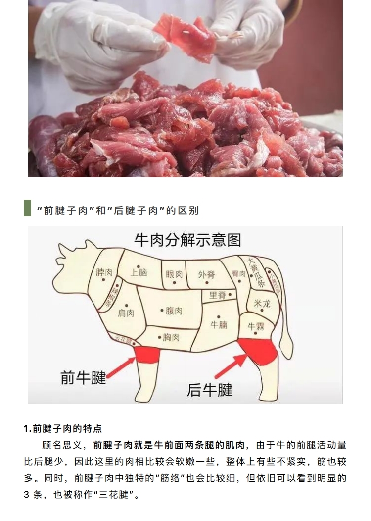 实用技巧丨买牛肉，分清“前腱肉”和“后腱肉”的区别，口感差别大，别买错！_page_2.jpg