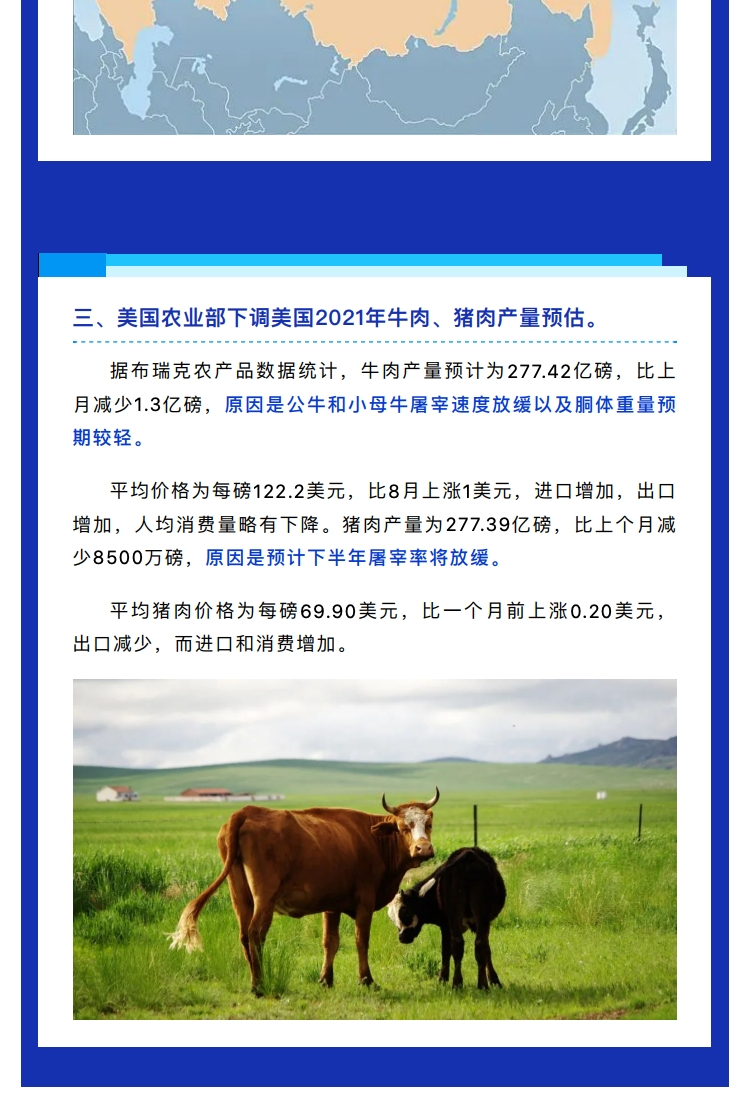 新闻资讯丨五分钟了解牛肉产业一周动态！_page_5.png